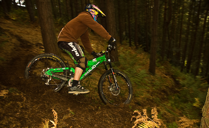 Jake getting some roost!