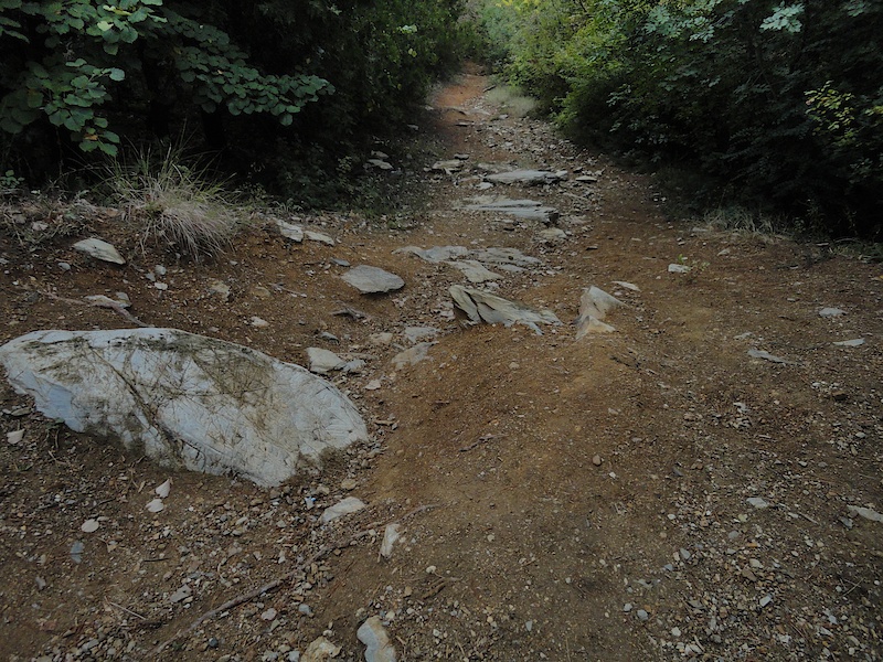 Nice trail