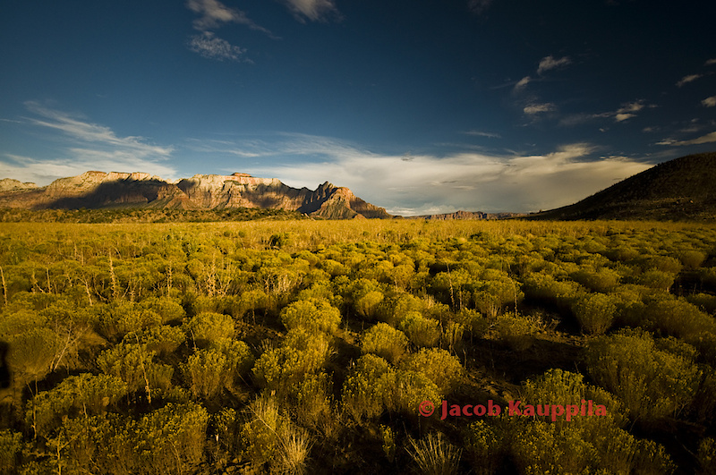 Just an image of the Southern edge of Zion National Park.