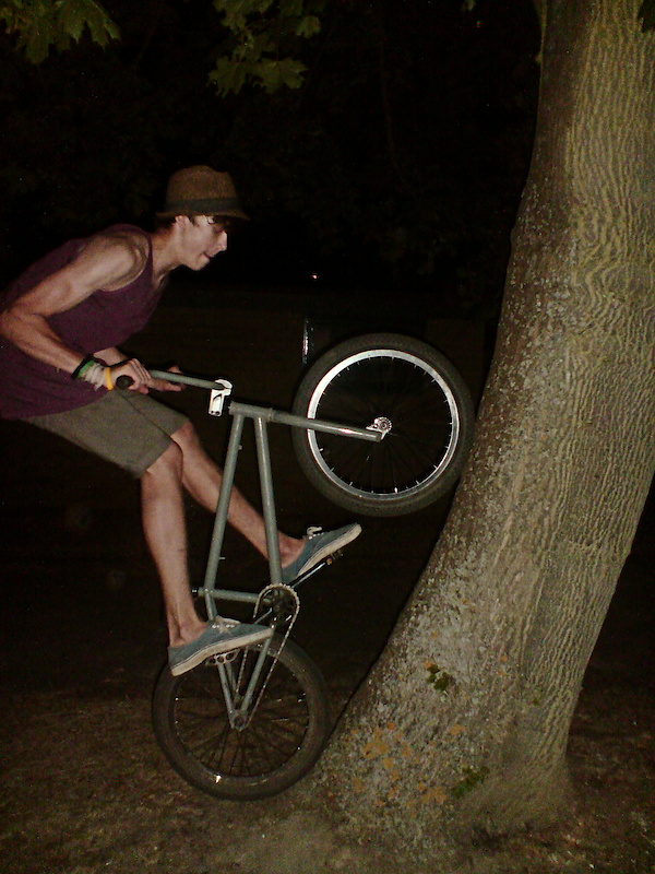 Tree ride to fakie