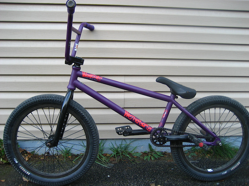 wtp warriors frame