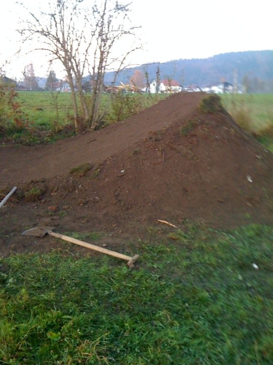 new dirt in my backyard