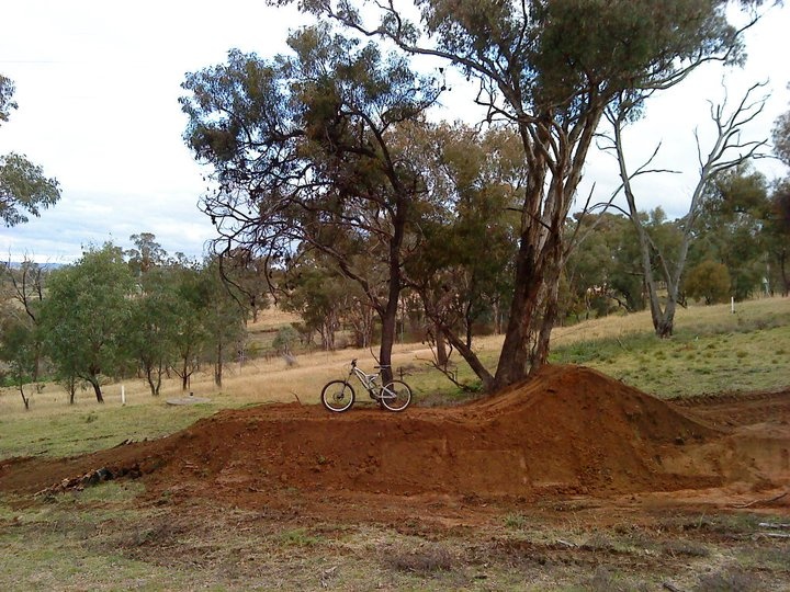 Newtons Nation 2060 DH Track