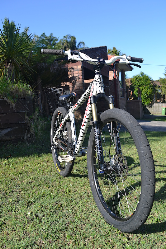 candy paint bike
