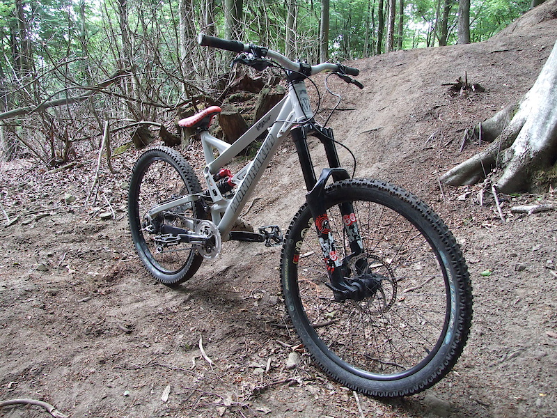 shogun mountain bike price