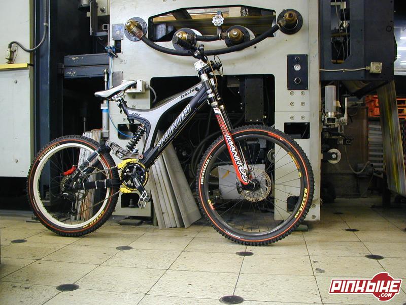 Specialized Big Hit DH 2003
