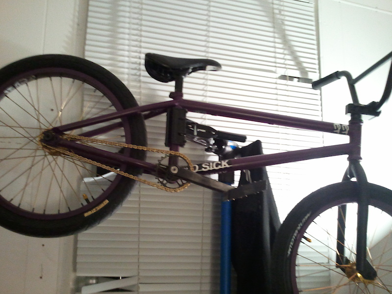 wethepeople sleepless frame