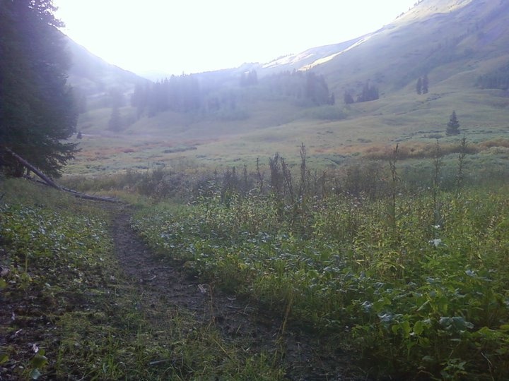 Trail 403 Mountain Biking Trail - Crested Butte, CO