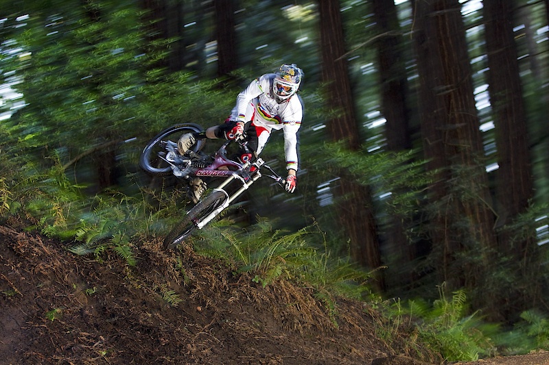 Photo by Forrest Arakawa