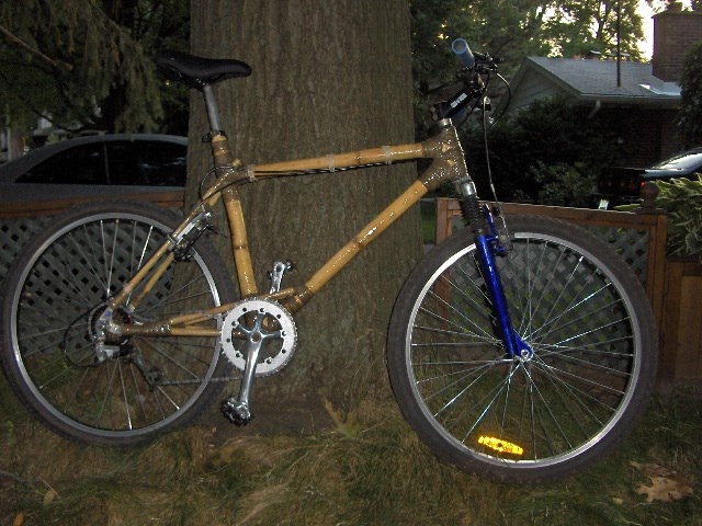 First bamboo bike - bamboo, hemp twine, and resin, plus lots of hours.
