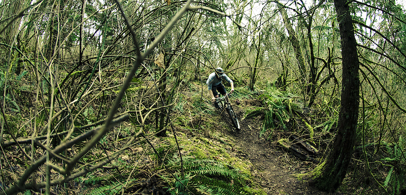 Heritage park mountain bike 2024 trail