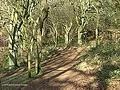 twisty tight track with jumps sharp corners and bare bumps