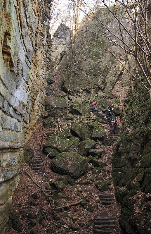 One of the many stairs in the Mullerthal