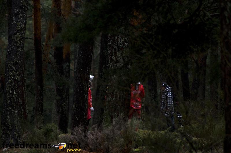 Secret meeting in the woods