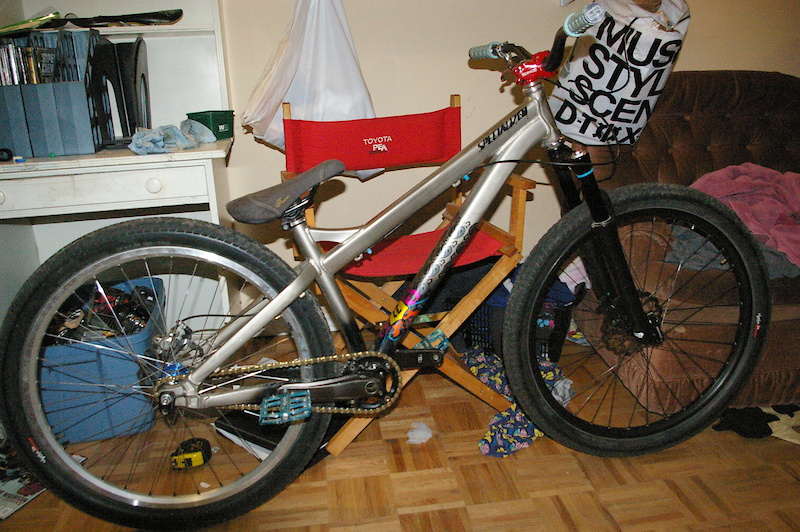 custom dirt jump bikes