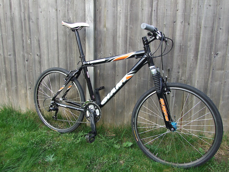 Giant Terrago For Sale