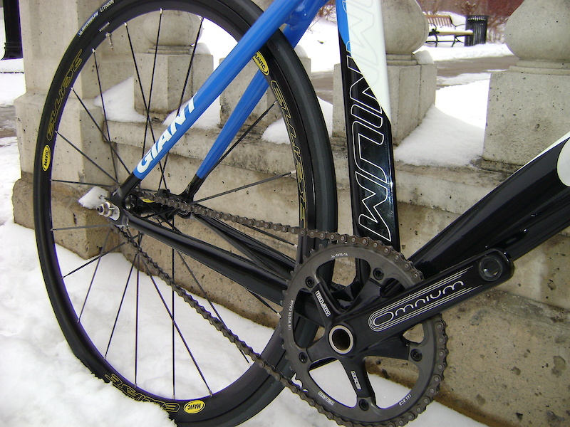 2009 Giant Omnium Medium (53cm) For Sale