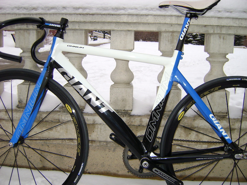 2009 Giant Omnium Medium (53cm) For Sale