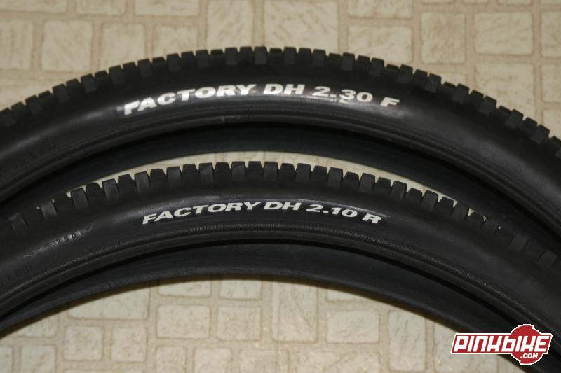 tioga dh tyres