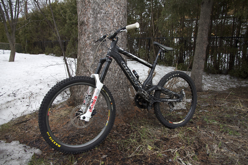 giant dh comp