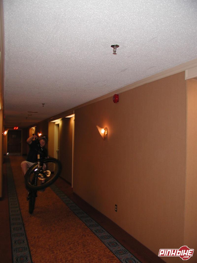A old pic i found of me pulling a wheely down the hall of a 5 star delta hotel on my trip down east