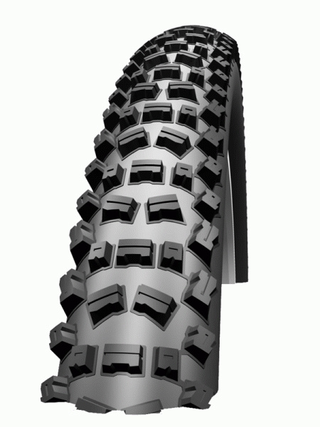 Schwalbe 2011 Fat Albert Rear