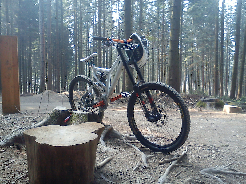 Show Us Your Club Roost! PICTURES 