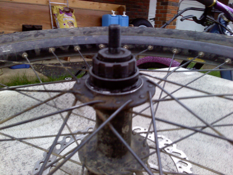 Single speed cassette convert to Freewheel? Pinkbike Forum
