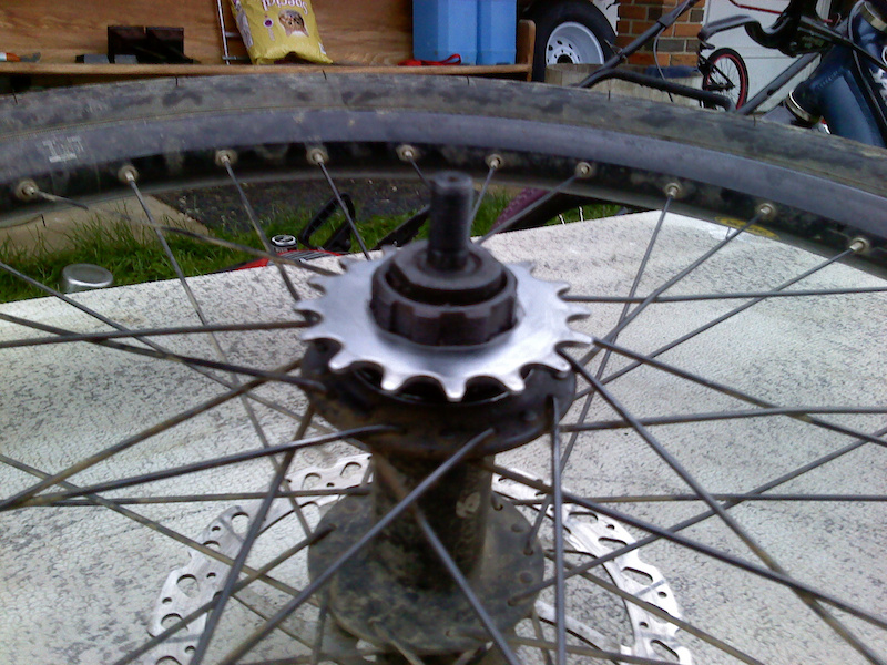 Single speed cassette convert to Freewheel? Pinkbike Forum