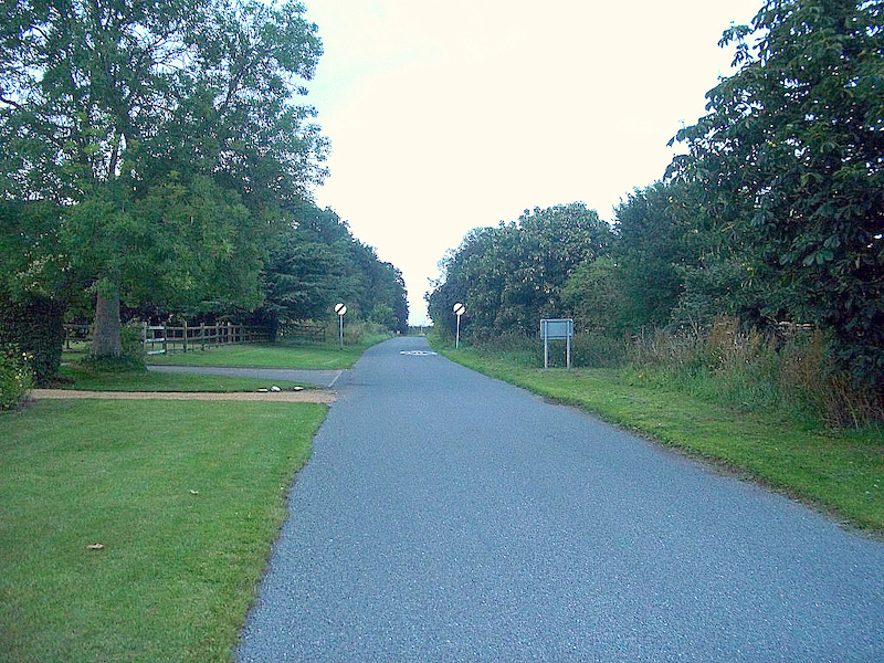 Summer 2011