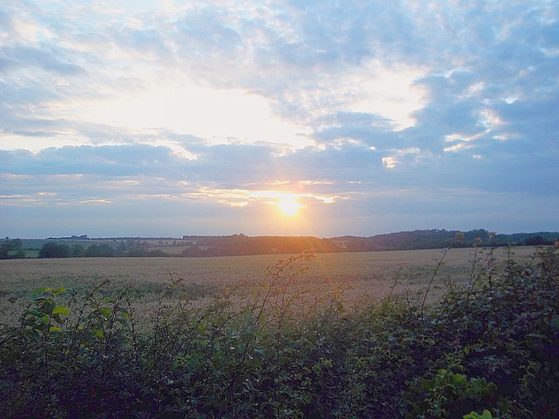 Summer 2011