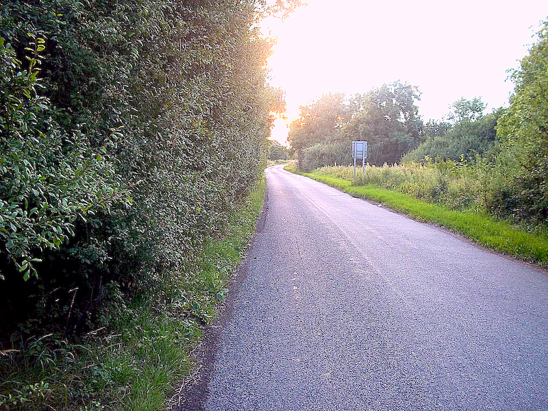 Summer 2011