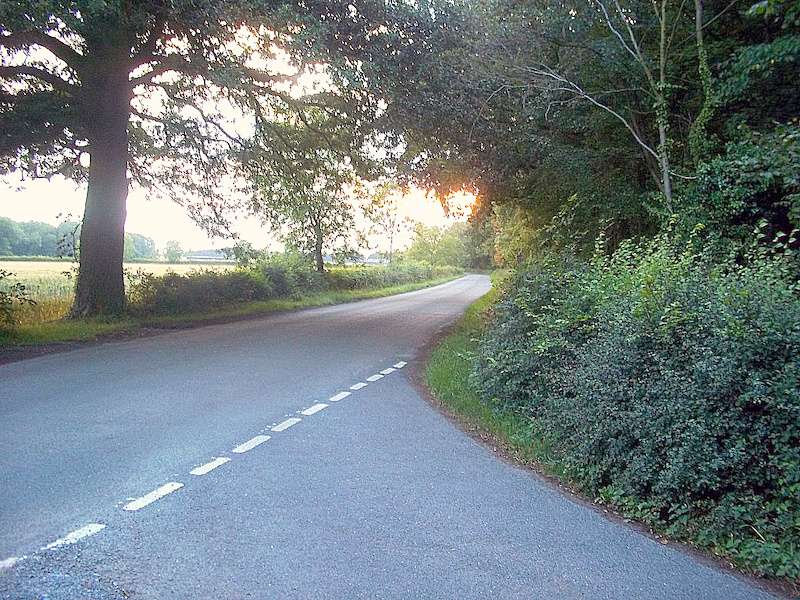 Summer 2011