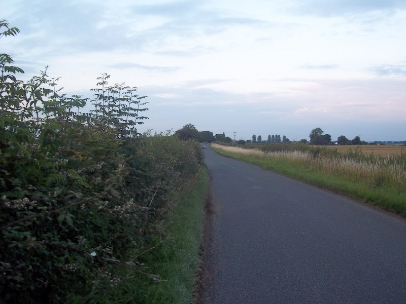 Summer 2011