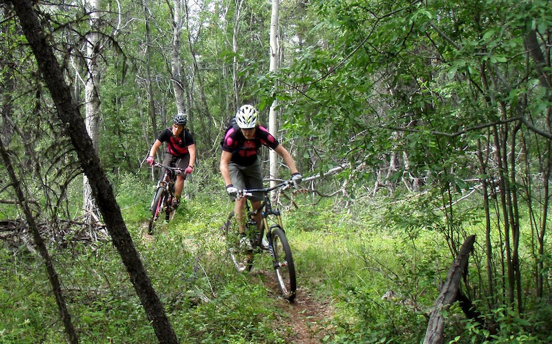 For an article on Pinkbike about riding in the Whitehorse area Yukon. Canada. Photo by Anthony DeLorenzo