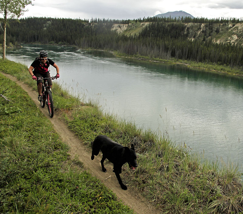 For an article on Pinkbike about riding in the Whitehorse area Yukon. Canada