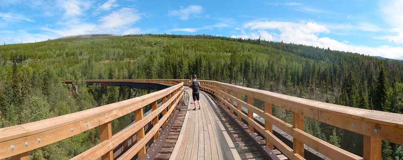 Bellevue Creek Trestle