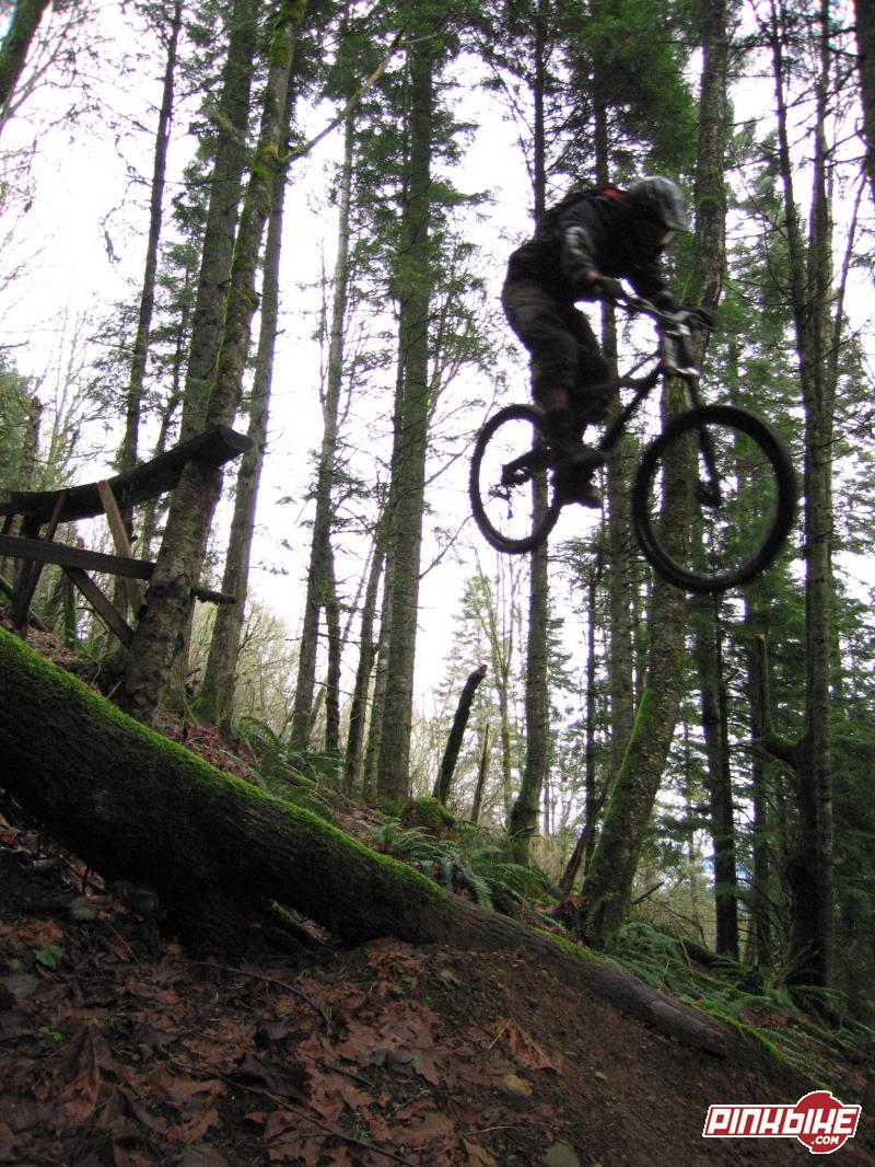 911 drop on cannondale with lefty