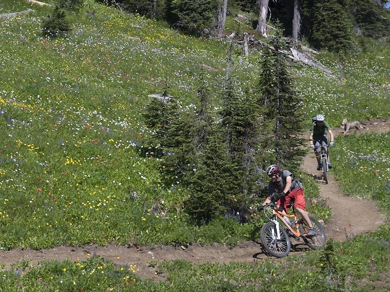 For an article on Pinkbike about the Revelstoke XC/AM trails Photo by Lars