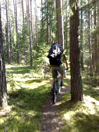Blurry due to mobile phone origin, but illustrates the nature of riding perfectly. The trail (or lack of trail) from Kiidjärve to Taevaskoda is epic. Dropper post highly recommended.

Shot by Jaanus.