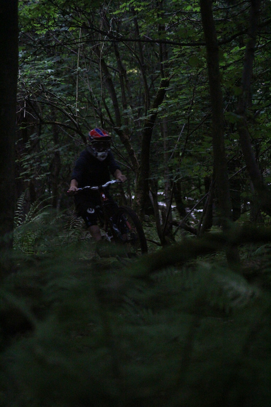 JamesRussellProductions    Manual through the leaves 0_o
