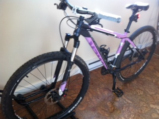 2011 Like New Trek Mamba WSD Gary Fisher Collection For Sale