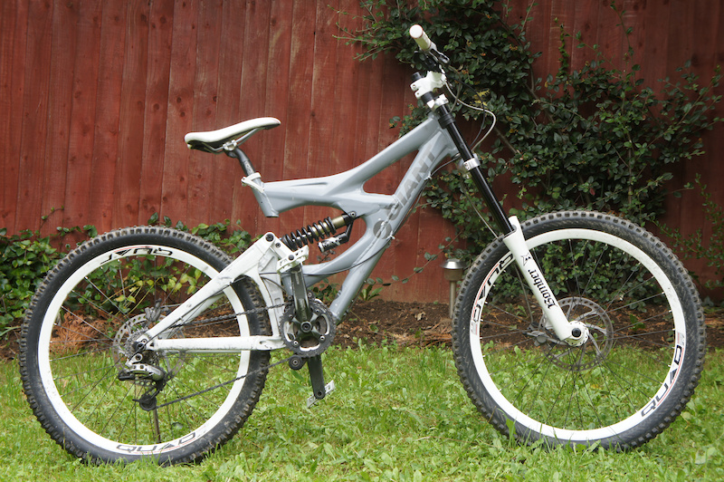 Giant Faith 3 D/H Comp Downhill Bike For Sale