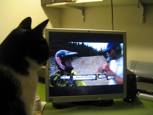 My cat watching Brendan Semenuk at Colorado Crankworx