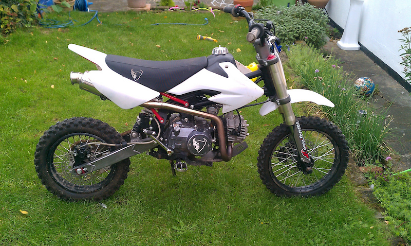 Demon x 125 will take 350 pick up !!!!!!!!!!! For Sale