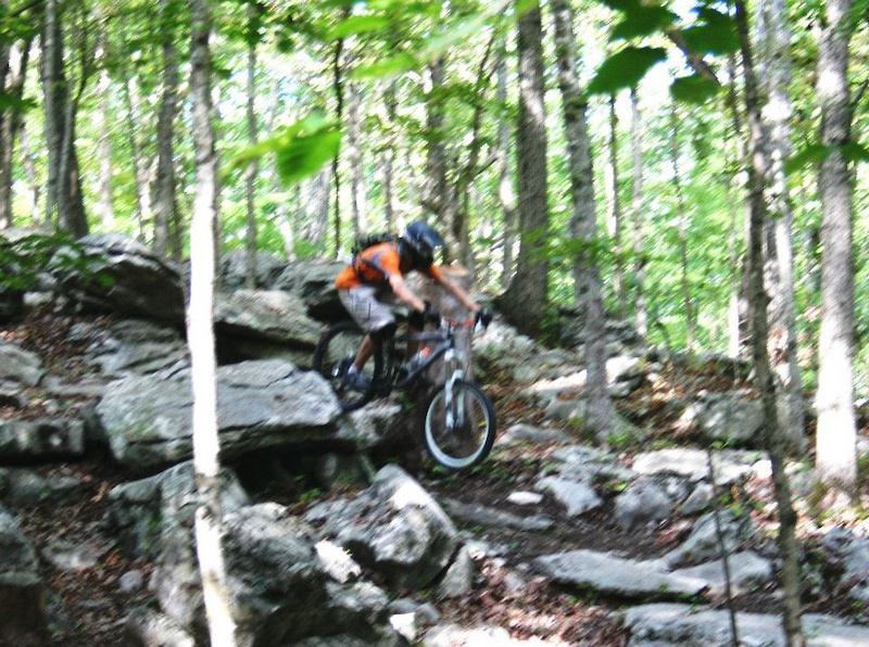 The last gnarly section on the funky tree trail, also know as the intermediate trail?