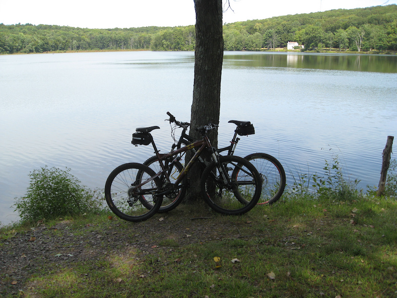 Bikes catching a breather by the lakeside