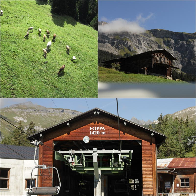 The Foppa to Naraus views on the Flims lifts