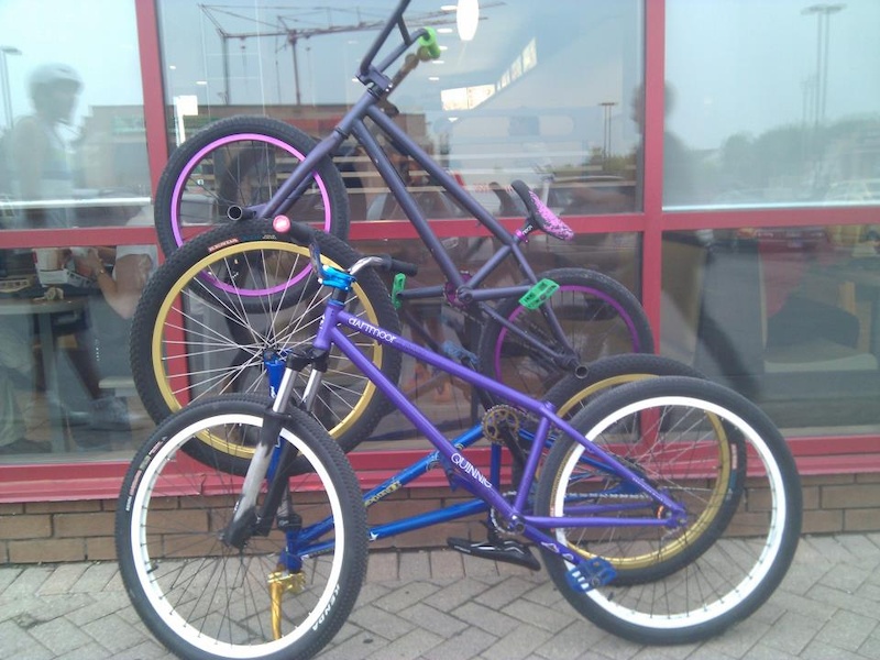 dartmoor quinnie frame