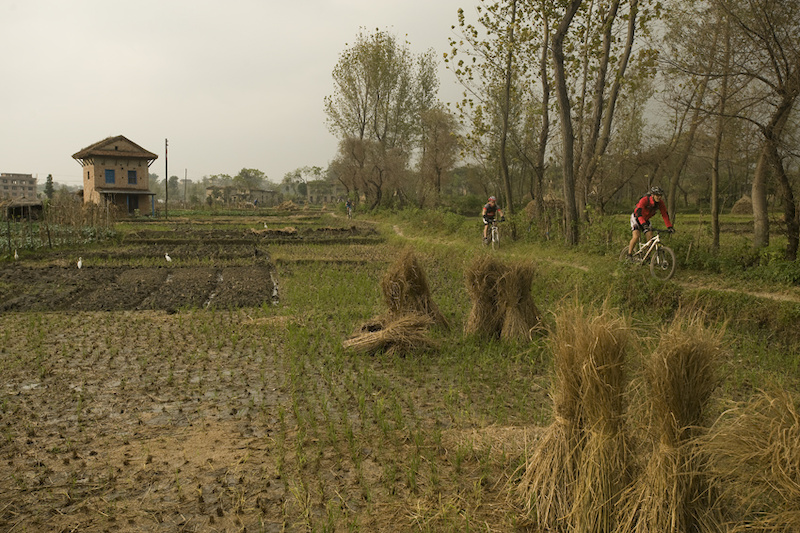 Photo by Patrice Halley Riding the ridges separating rice paddies coming into Bhaktapur outside Kathmandu.